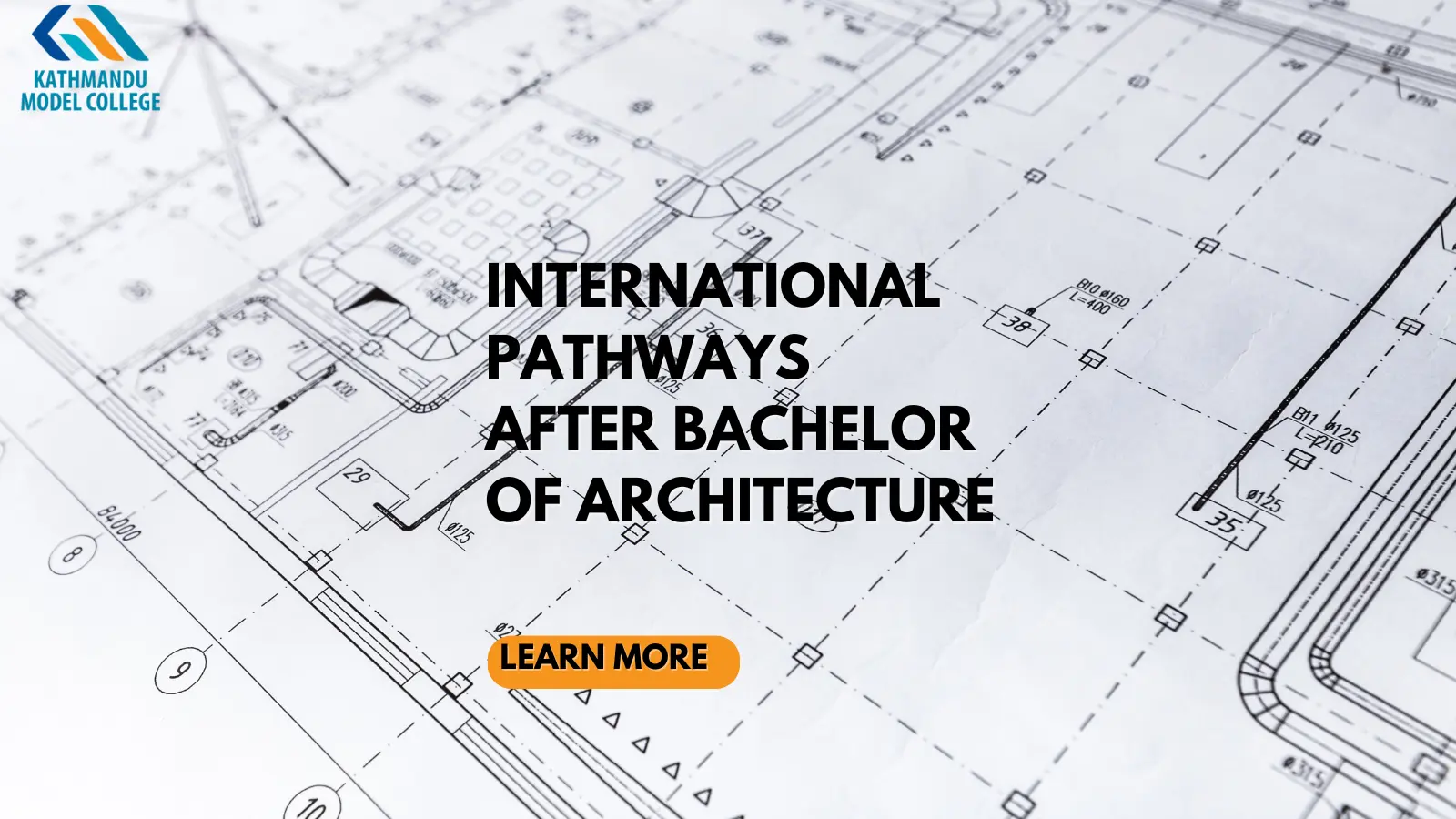 international pathways after bachelor of architecture